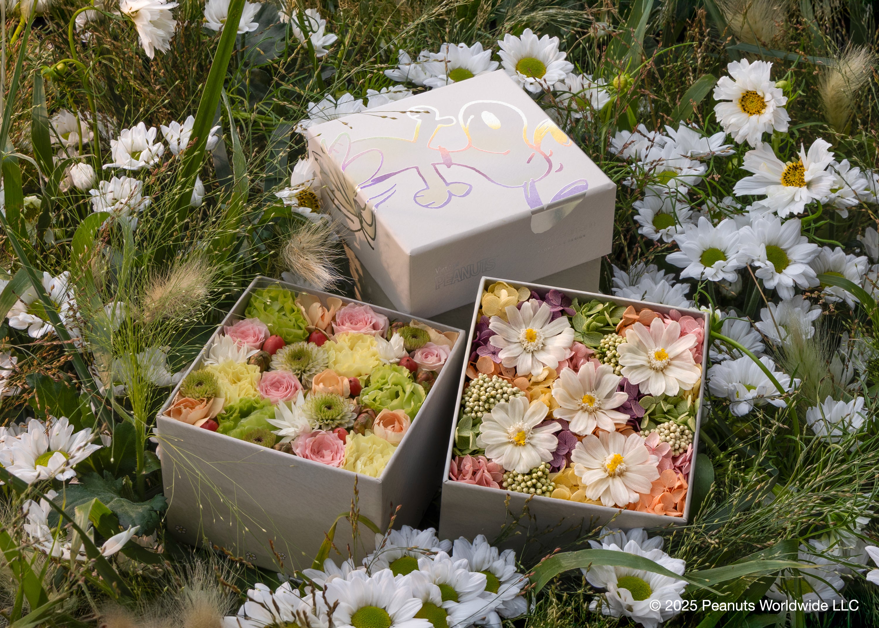 Nicolai Bergmann Online Shop｜ニコライ バーグマン オンライン