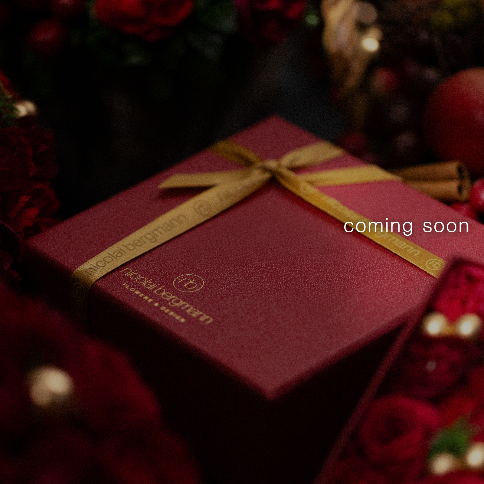 Christmas Preserved Flower Box M