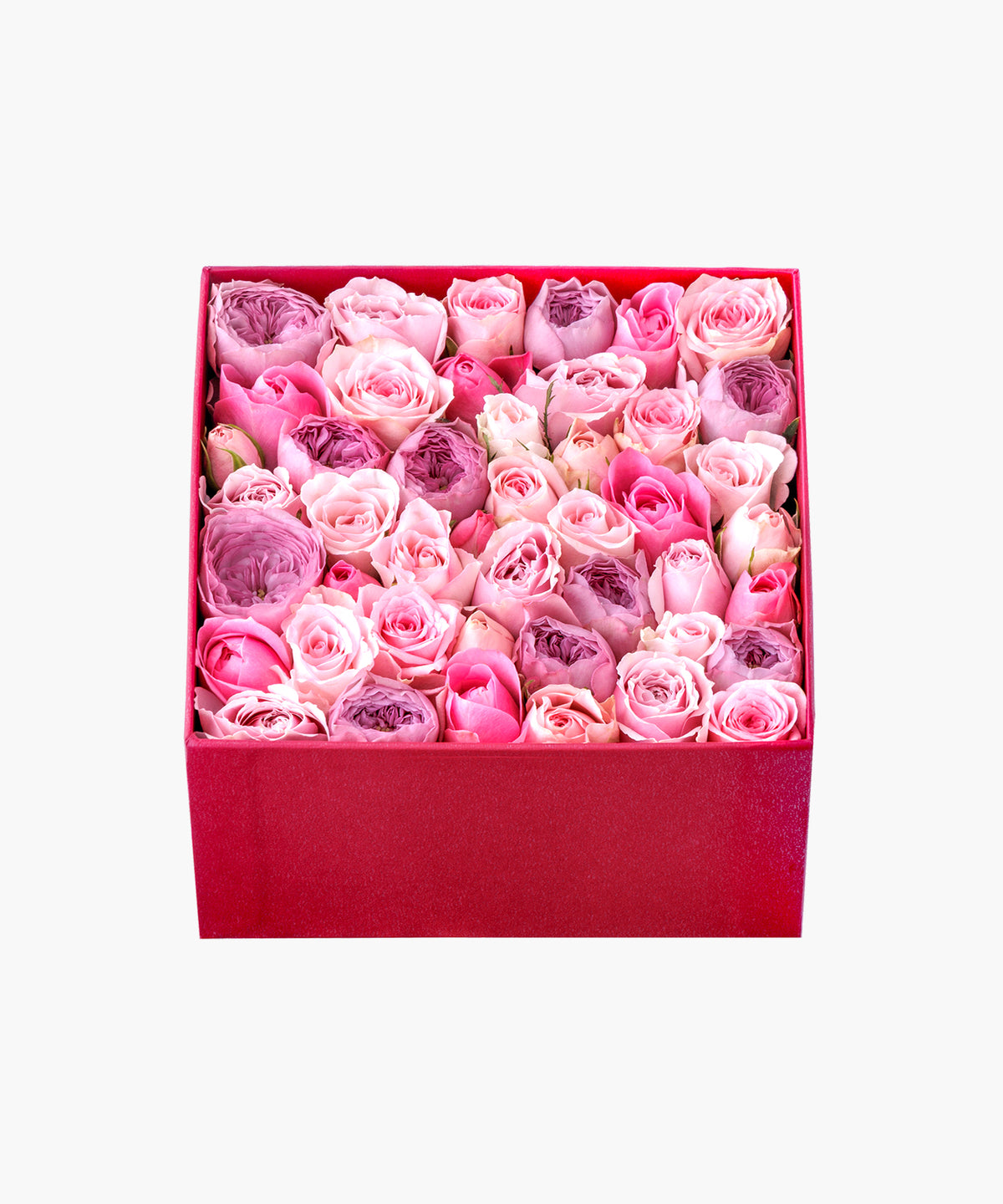 Timeless Rose Pink