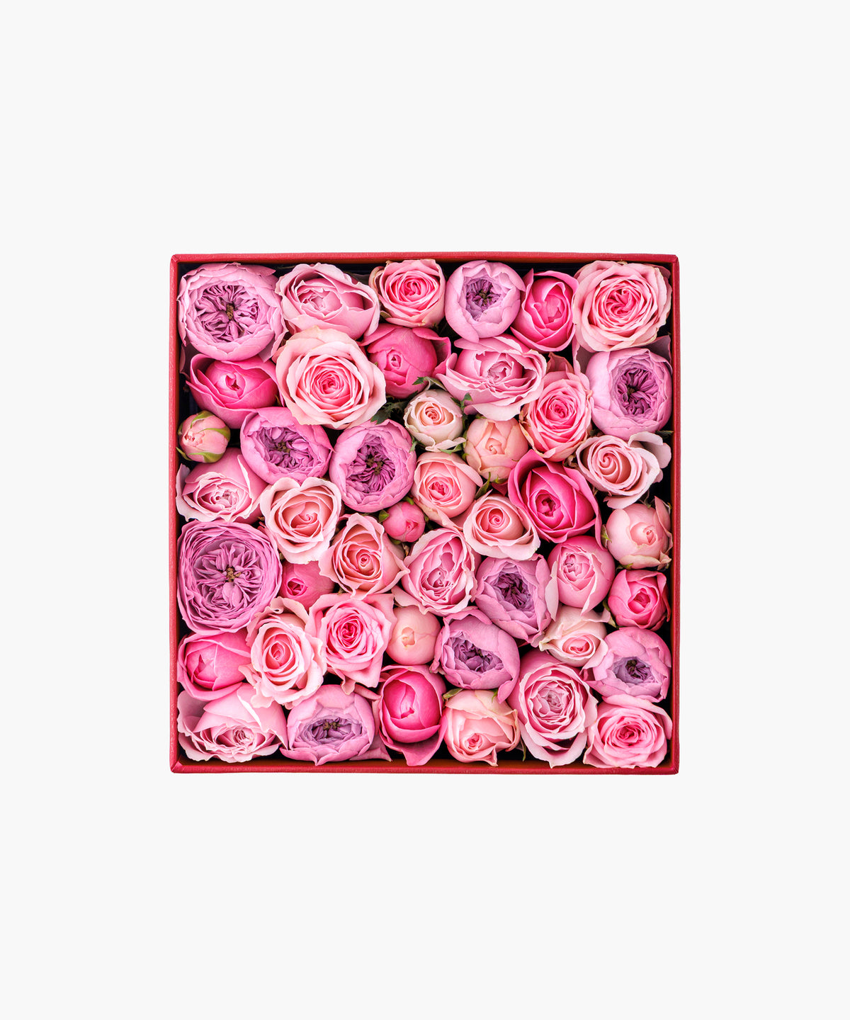Timeless Rose Pink