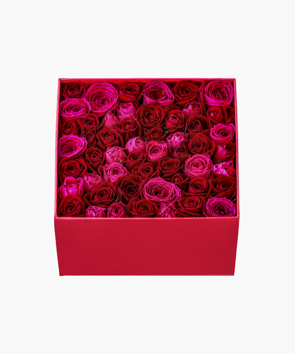 Timeless Rose Red