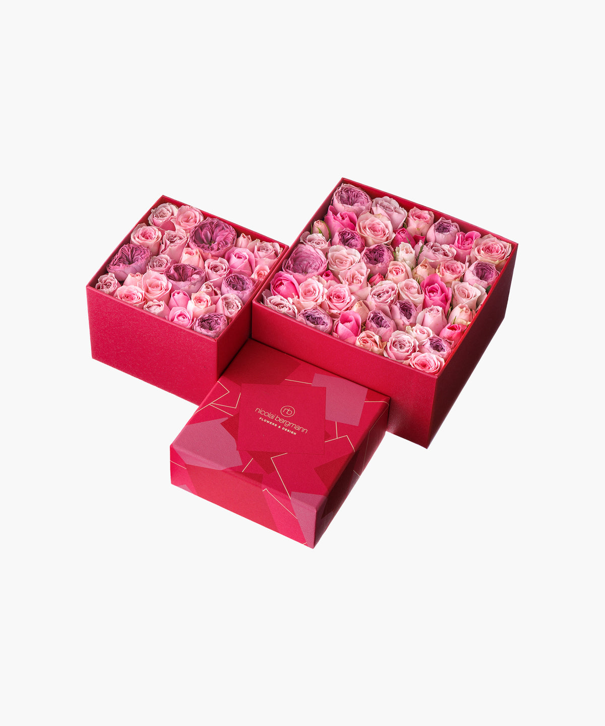 Timeless Rose Pink