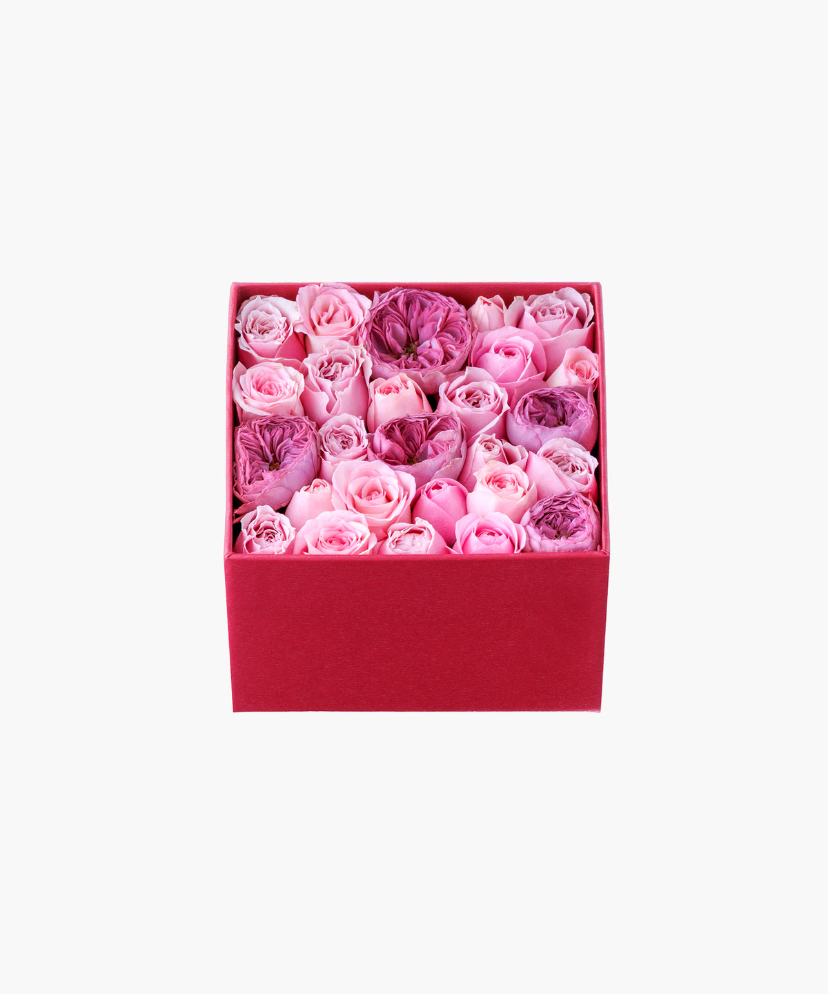 Timeless Rose Pink