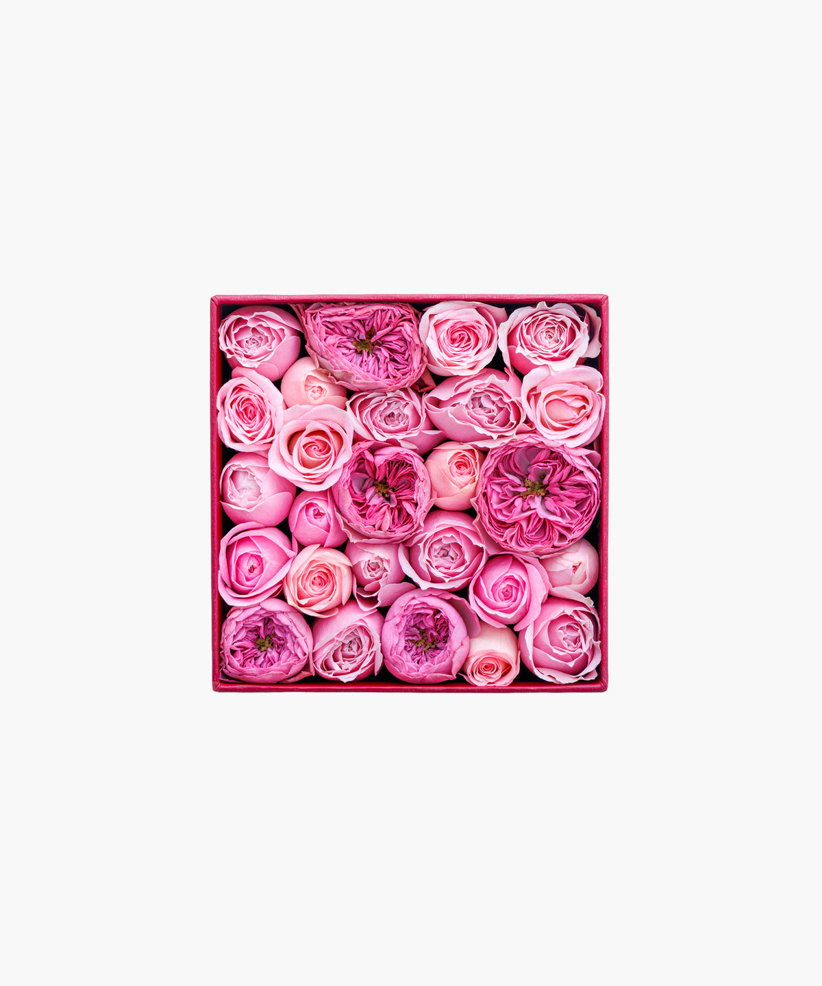 Timeless Rose Pink