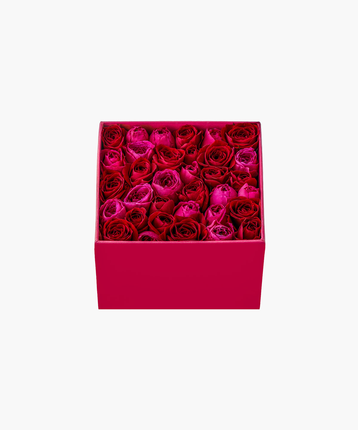 Timeless Rose Red