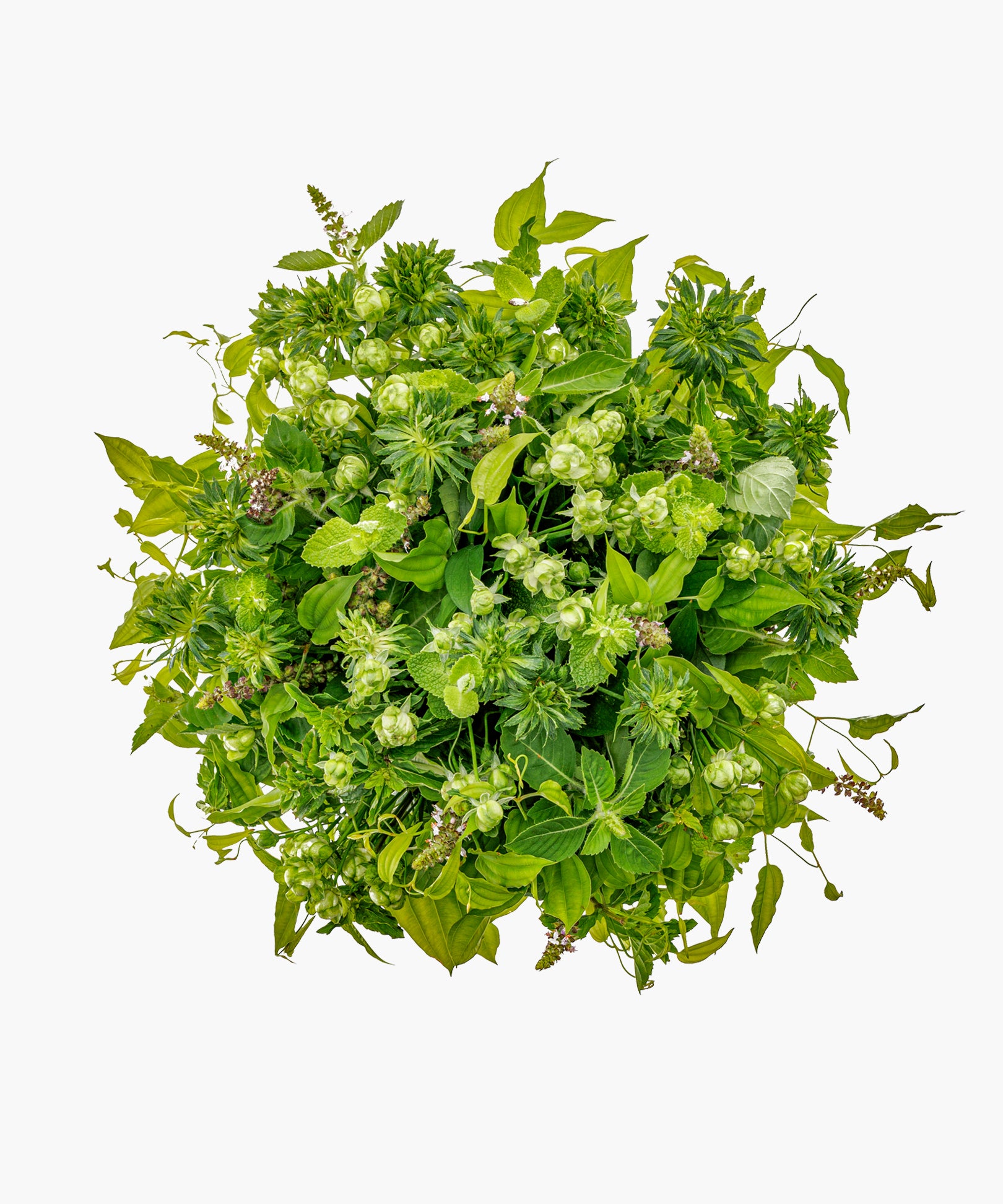 Going Greenery