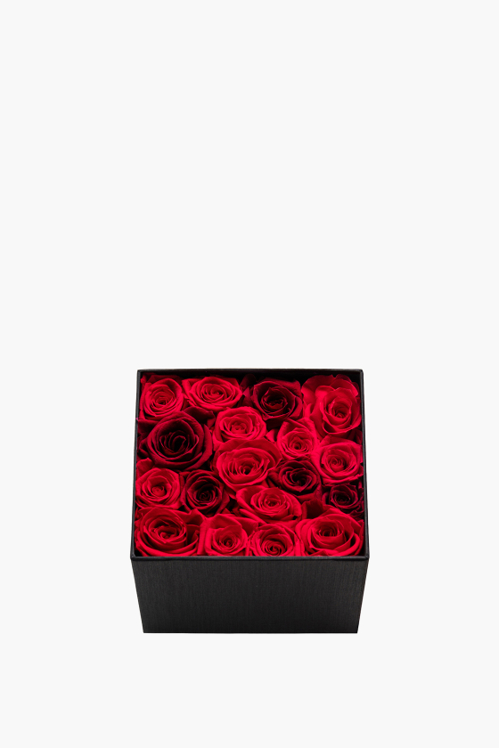 Red Rose Deluxe
